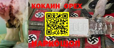 ПСИЛОЦИБИНОВЫЕ ГРИБЫ Свободный