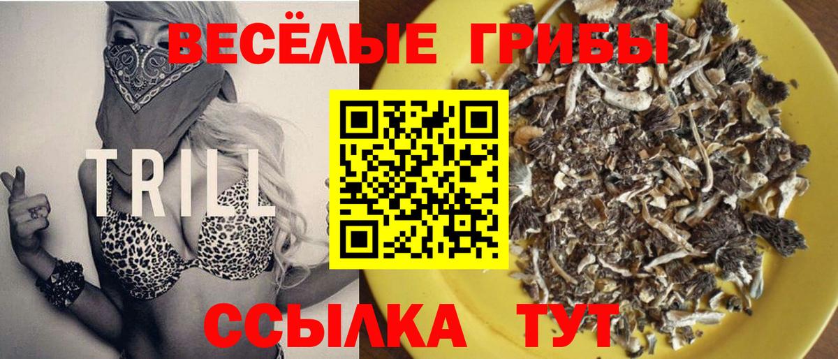 Соль-Илецк  Псилоцибиновые грибы Cubensis  дарнет шоп  Вход с VPN 